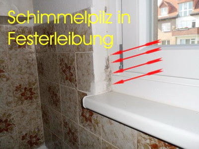 Fensterleibung-mit-Schwarzschimmel Fensterleibung-mit-Schwarzschimmel